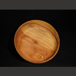 cedar of lebanon